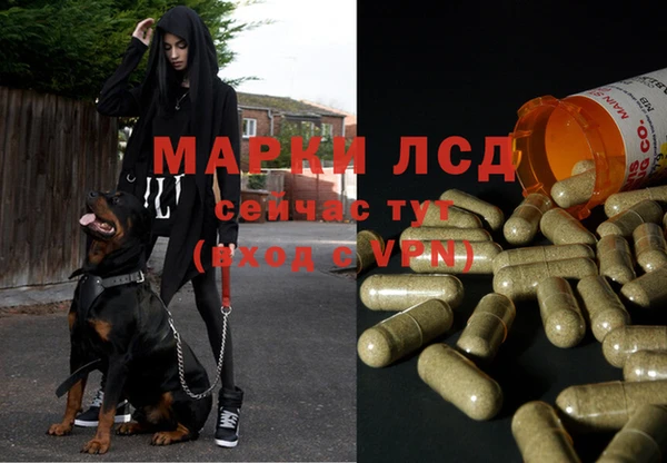 таблы Аркадак