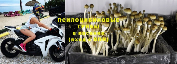 таблы Аркадак