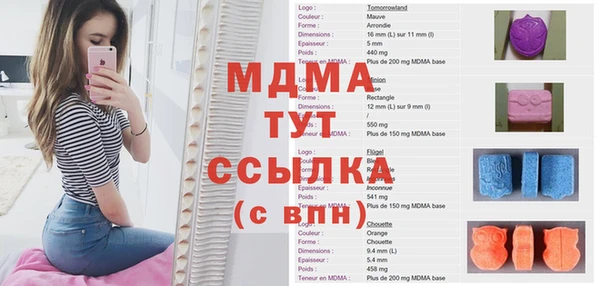 PSILOCYBIN Армянск