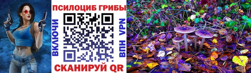 Псилоцибиновые грибы Psilocybine cubensis  Купить где  Нестеровская 